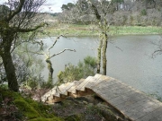 Passerelle-bois-avec-escalier--(1)