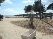 Plantations-plage-guidel-(2)